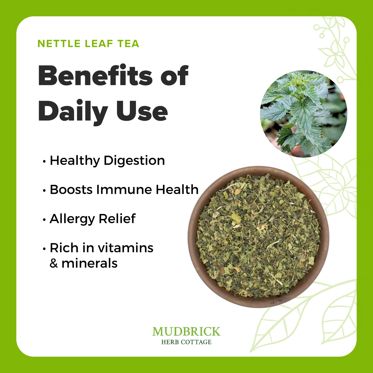 Nettle Leaf Tea